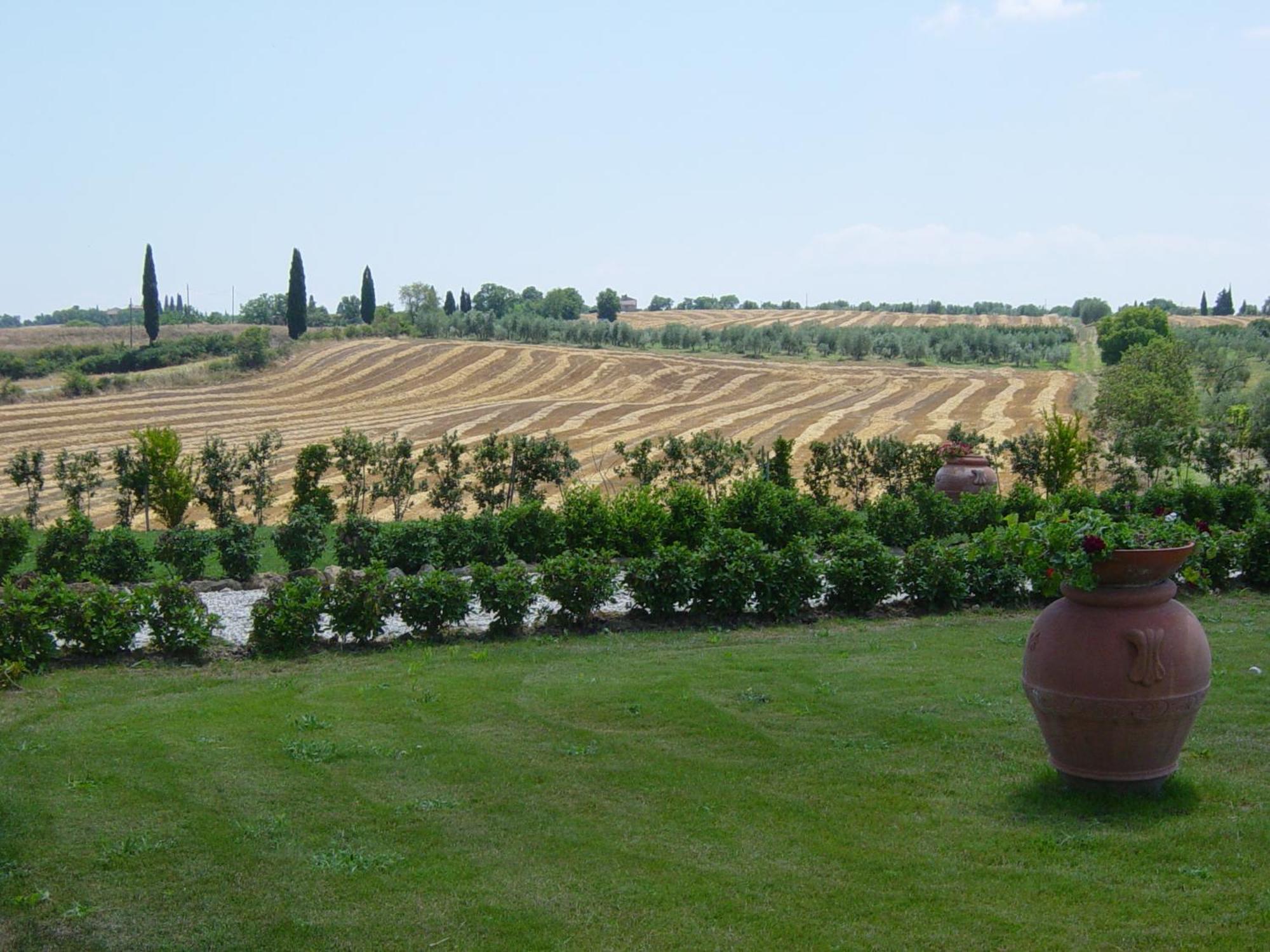 Agriturismo Il Macchione Pienza Exterior photo