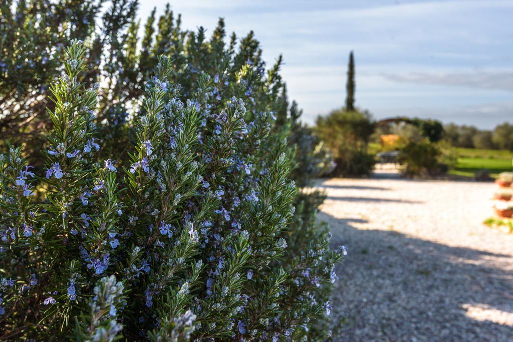 Agriturismo Il Macchione Pienza Exterior photo